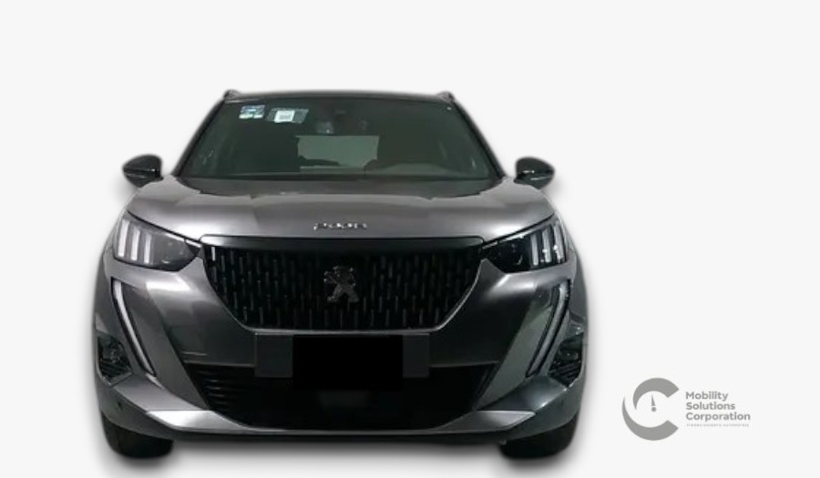 Auto 1